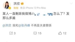 洪欣：某人一直删除我微博，称自己和张丹峰不再是夫妻关系