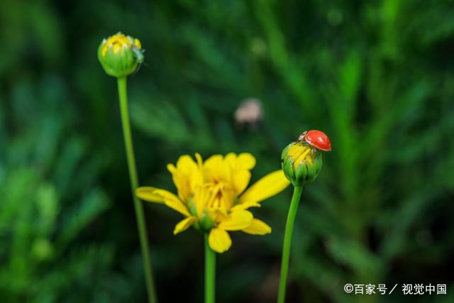 一个人有没有福气，其实，取决于他自己