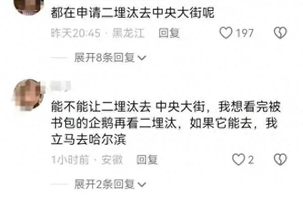 “二埋汰”竟成了东北虎里最红的仔！网友喊它上中央大街走走