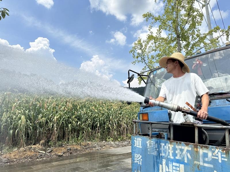 仁怀：引水灌溉为农作物“消暑解渴”