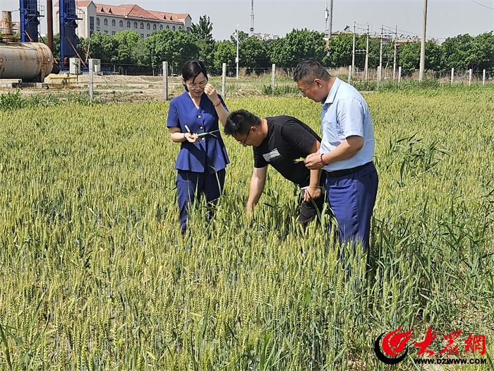 垦利农商银行精耕“五篇大文章”助力经济高质量发展