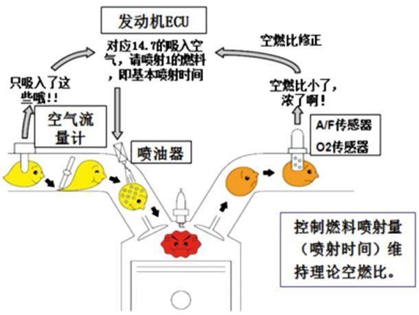 为什么定速巡航最省油？