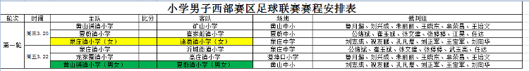 沂水县“县长杯”中小学西部赛区足球联赛开赛