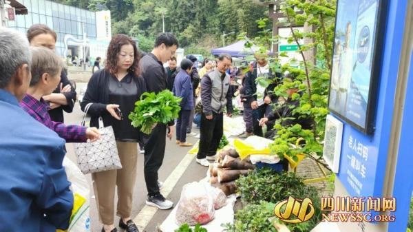 来绵阳安州蝴蝶谷采鲜 开启一场撒“野”踏春之旅