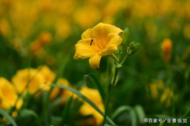 要观察男人过得好不好，从他回家就能看出来