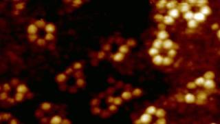科学家首次拍到单原子首张“x光”照片