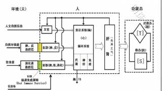 林导：健康生活新思路：全息转载调频生命能量屋