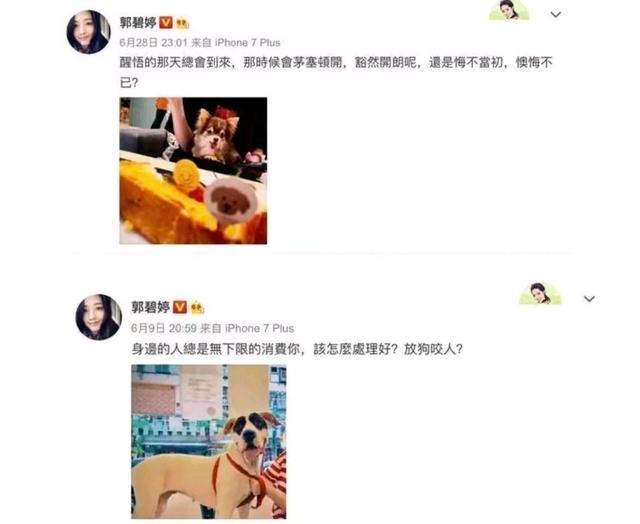 郭碧婷和向佐罕见同框，向佐全程心不在焉