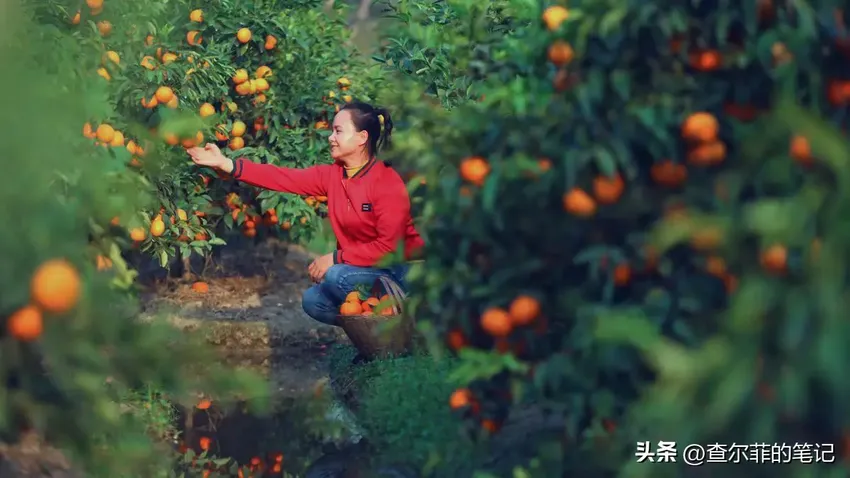 她是40岁广西妇女，从月薪3000到年入千万，开公司还上央视，为啥