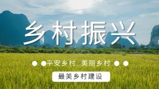 山东：激起人才“活水” 打造乡村振兴“齐鲁样板”