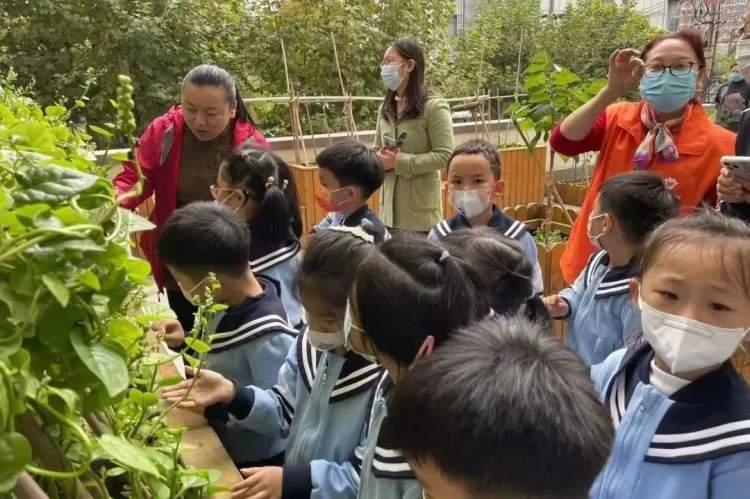 小东门街道 | 家门口体验田园乐趣 “空中菜园”种出社区治理新路径