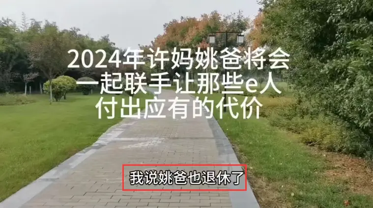 柴桑直播透露好消息，许敏新年多一位帮手，两方面都会是得力干将