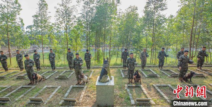 广西武警官兵清明祭扫缅怀“无言战友”