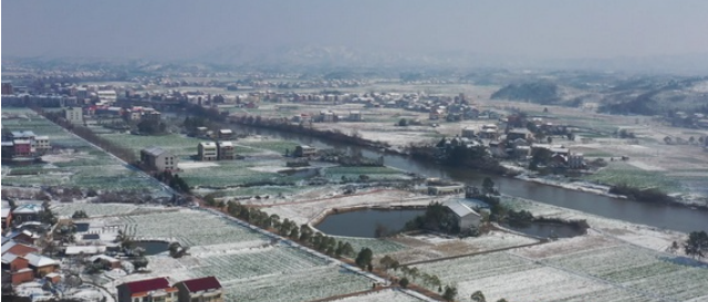 衡阳县：雪后油菜田间积水严重农技人员及时清沟排渍