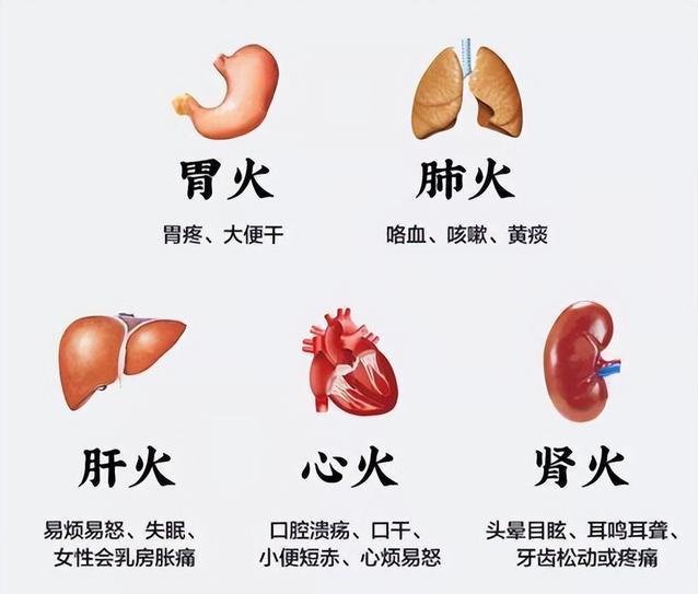 五脏有火会从哪走？心火走舌，肝火走眼，胃火走口，肺火走鼻