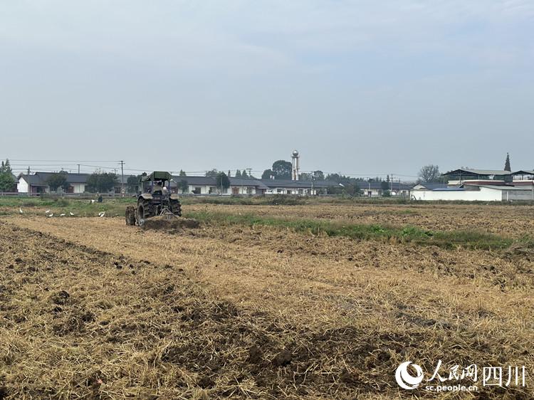 四川什邡：冬小麦播种正当时 机械开进田间帮大忙