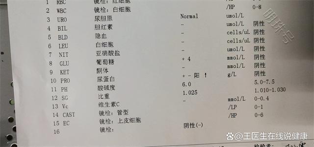 尿常规蛋白、潜血有加号，红细胞升高，分别应该咋应对？参考下