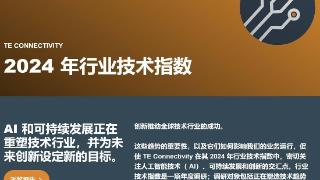 TE发布2024年《行业技术指数》报告：中国是对AI技术信心最强国家