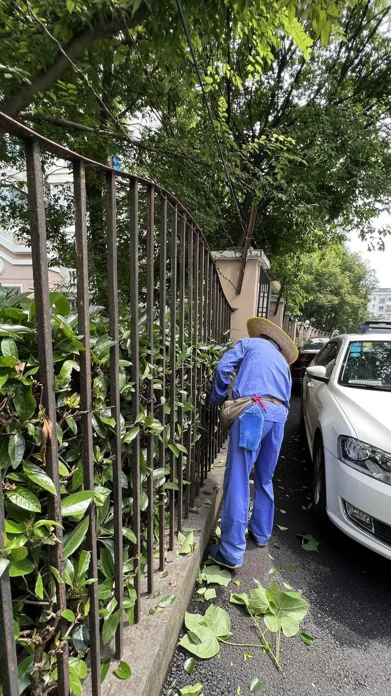 上海6000多位居民苦不堪言！长期“脏乱差”却没人管，只因物业费不够高？