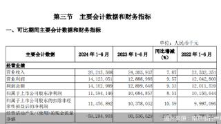 南京银行业绩“提前”放榜：上半年归母净利增长、个贷不良走高