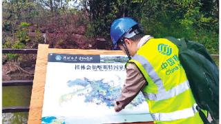 广西首个5G+AI湿地保护管理项目落户会仙湿地