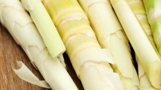 竹笋腌制大揭秘：五种美味腌制法，营养不流失的秘诀！