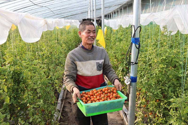 村里年年换新貌，日子越过越红火