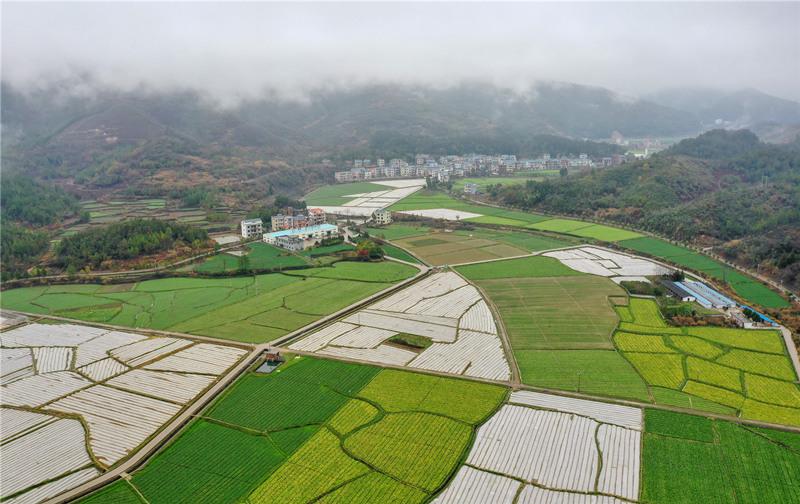 湖南新田：春雨如油润田畴 云雾缭绕乡村美