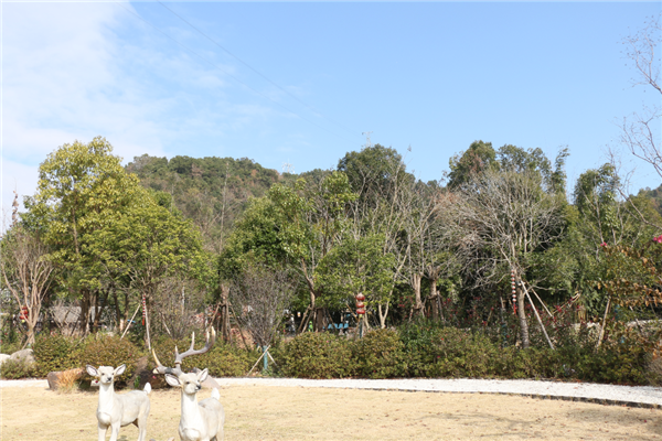 微改造，精提升|溪心村：打造省级美丽宜居示范村