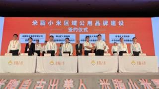 陕西米脂小米高质量发展大会在北京举行