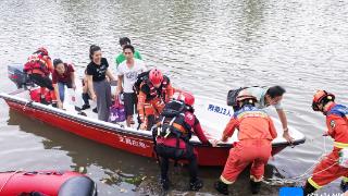 琼海树木横倒路上致一皮卡车陷湿泥 消防及时救援