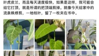 张松文老师是真的火了！网友：听君一席话不如看狂飙