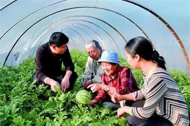 出生于武汉的“西瓜院士”走红，吃瓜当不忘种瓜人