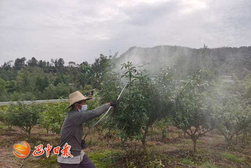 拓宽产业道路 增添振兴活力