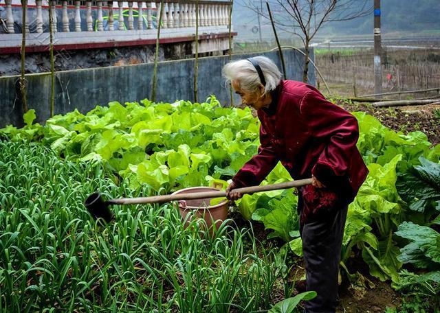 对于60岁以上的老人而言，长寿的指标有哪些？科普下