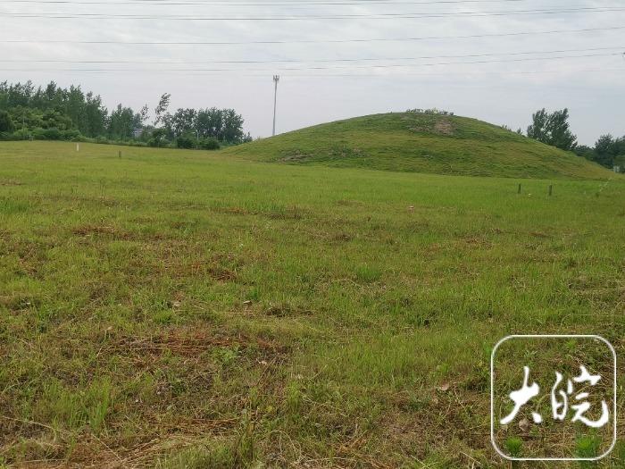 砂石路铺沥青，土坡植草坪，六安双墩汉墓遗址周边环境越来越“靓”