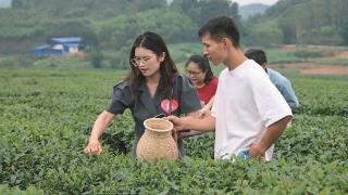 幸福茶缘 青春有约