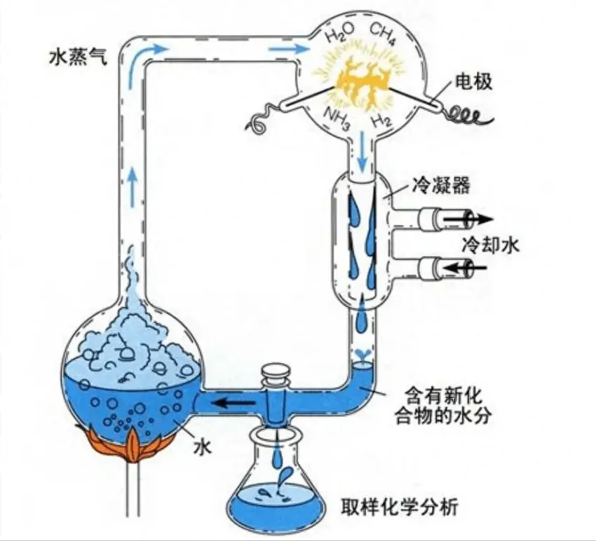 人类都是外星人的亲戚？两位科学家认为：生命可能是从地球外来的