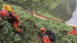 法 • 视界 | 小羊觅食集体掉洞 消防“空降”救援