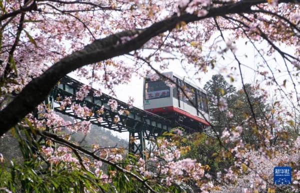 春光正好江西多处景区客流量回升