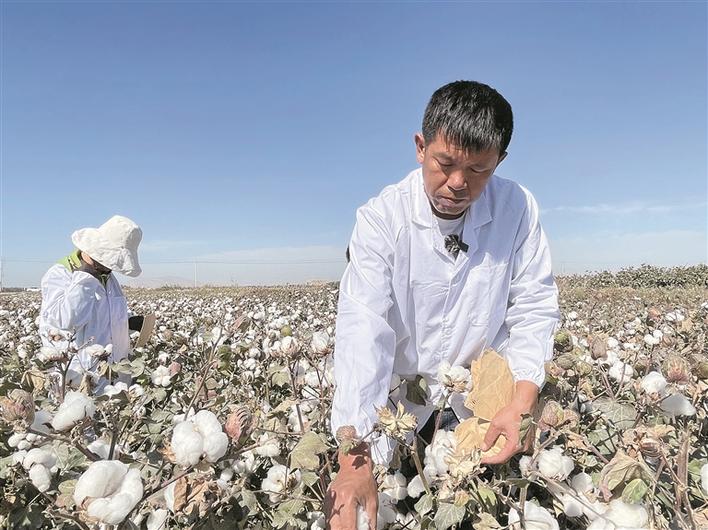 孔宪辉：把论文写在大地上