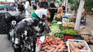 “豆橛子”吃不起了！受降雨和高温影响，临沂蔬菜价格集体上涨