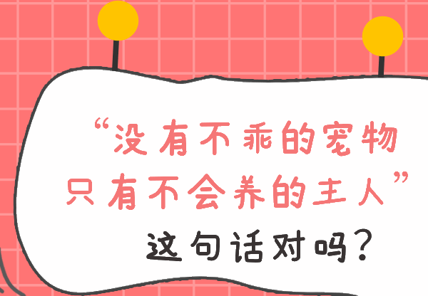 流浪猫到家六个月大变化，瘦脸吃成胖兔子，全靠一颗痣才认出它