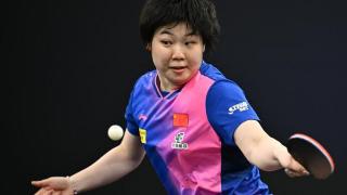 WTT战报！张本智和剃光头，陈垣宇3-0横扫黑马，单打决赛对阵出炉