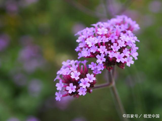 人老了，学会“三不争”，随和生活，会活得更幸福