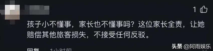 熊孩子大闹飞机导致延误，母亲一句话成功火遍全网