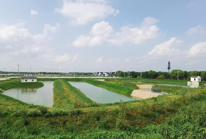 点赞！苏州市相城区度假区（阳澄湖镇）莲花村上榜