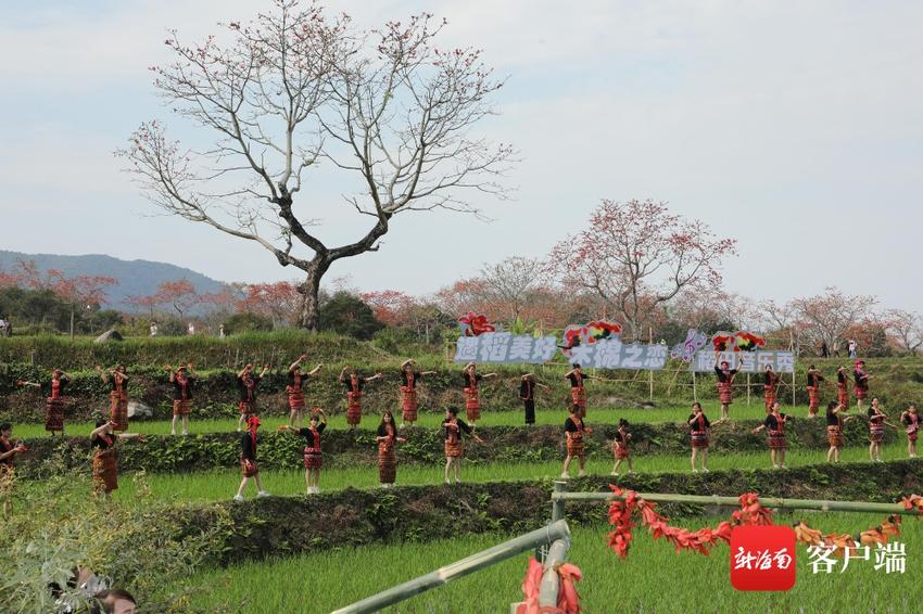 昌江以花为媒以音会友助力乡村振兴