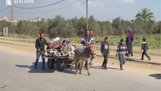 加沙流离失所者：冲突没有放过任何人！