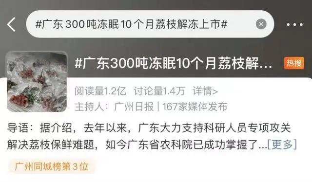 广东300吨荔枝解冻上市